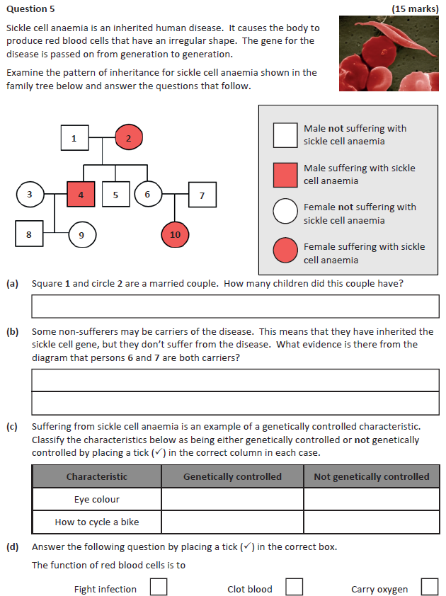 Sickle-cell-anaemia-is-an-inherited-human-disease-Junior Cycle Science-Question 5-2019.png