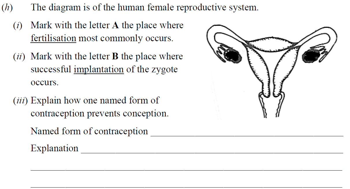 The-diagram-is-of-the-human-female-reproductive-system-Junior Cycle Science-Question h-2014.png