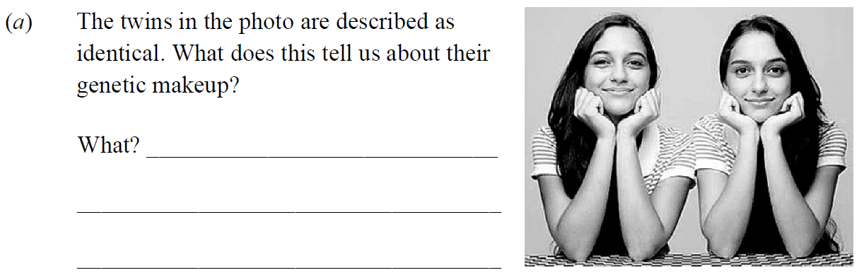 The-twins-in-the-photo-are-described-as-identical-Junior Cycle Science-Question a-2013.png