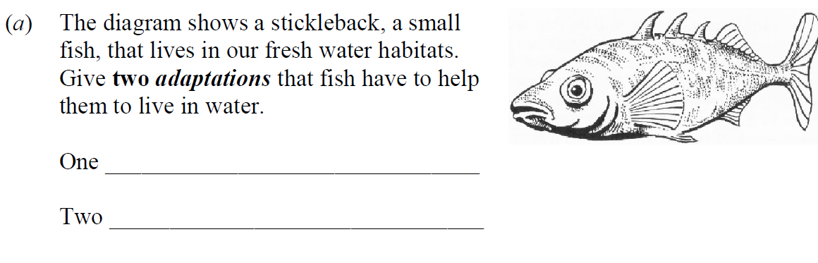 The-diagram-shows-a-stickleback,-a-small-fish,-that-lives-in-our-fresh-water-habitats-Junior Cycle Science-Question a-2010.png