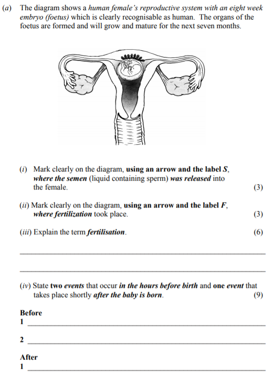 The-diagram-shows-a-human-female's-reproductive-system-with-an-eight-week-embryo-(foetus)-which-is-clearly-recognisable-as-human-Junior Cycle Science-Question a-2008.png