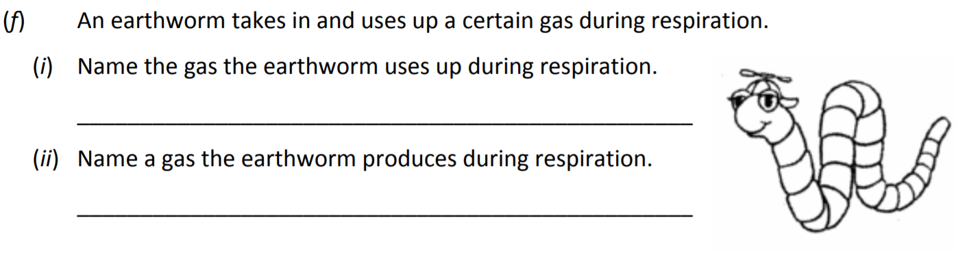 An-earthworm-takes-in-and-uses-up-a-certain-gas-during-respiration-Junior Cycle Science-Question 1-2018.png