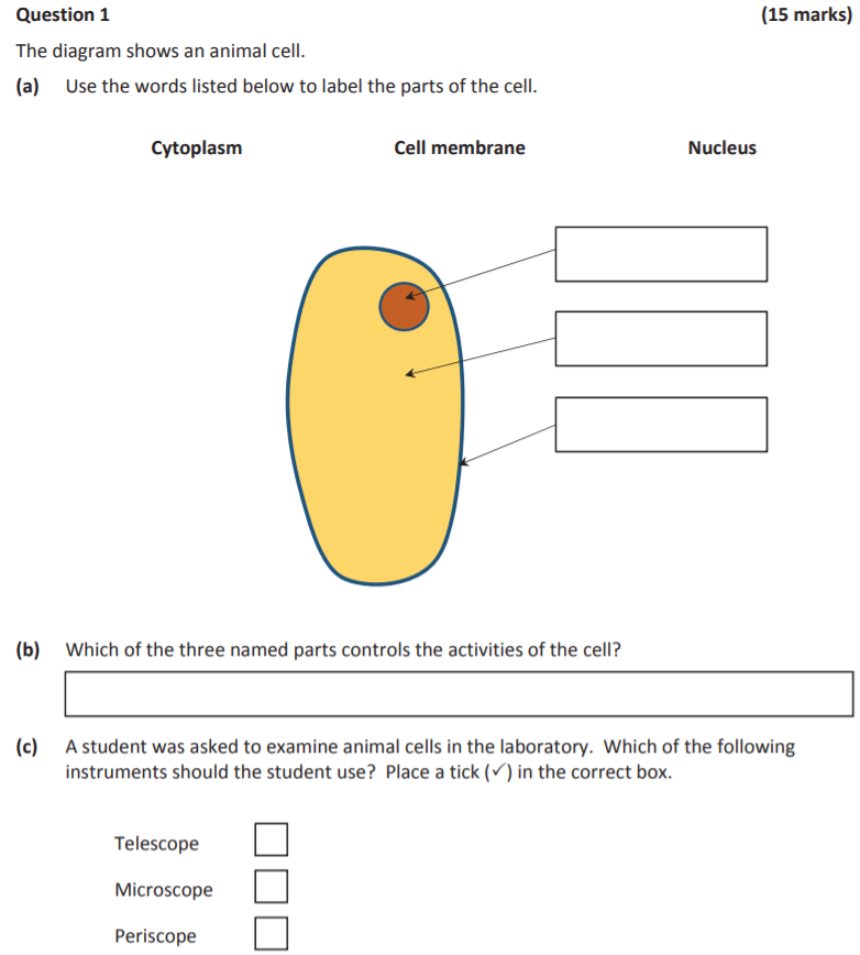 The-diagram-shows-an-animal-cell-Junior Cycle Science-Question 1-2019.png