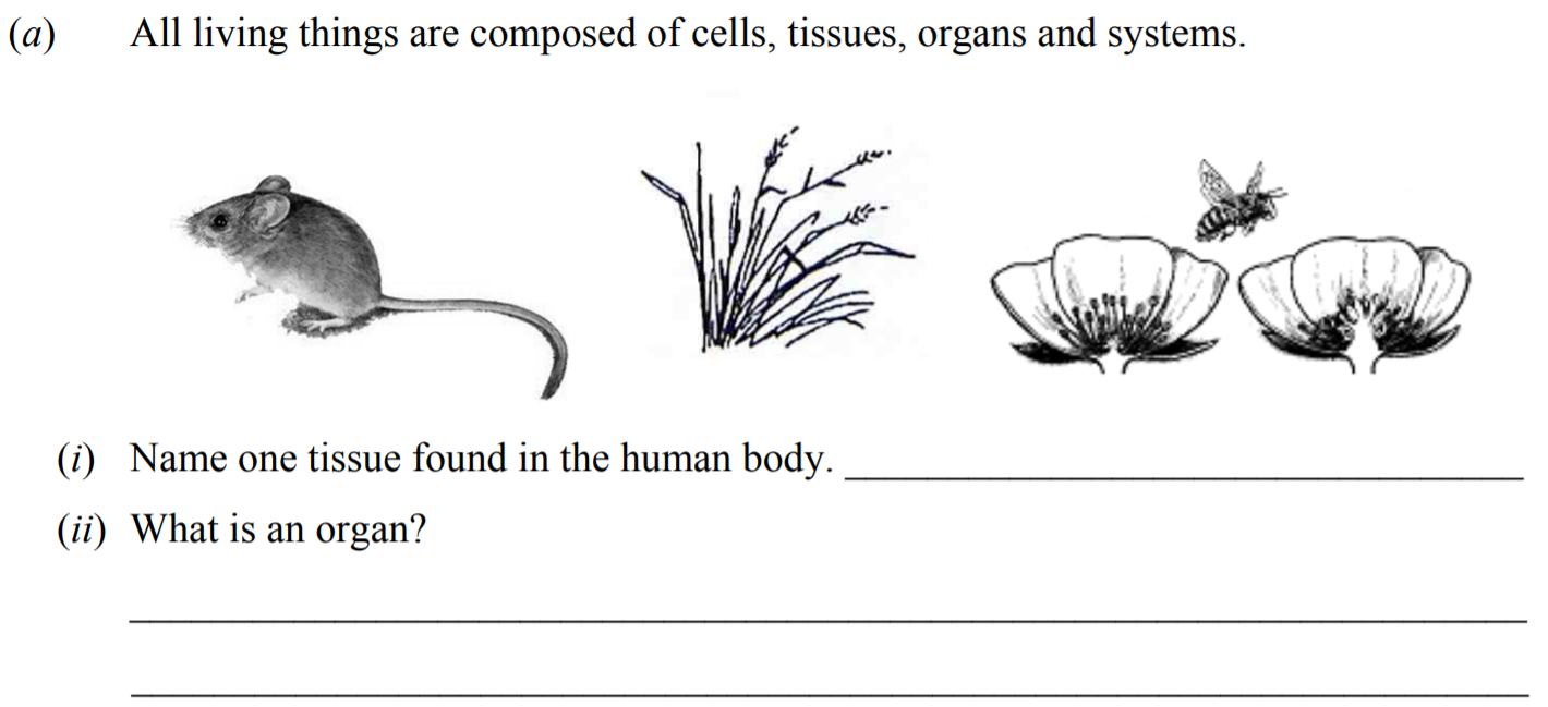 All-living-things-are-composed-of-cells,-tissues,-organs-and-systems-Junior Cycle Science-Question a-2016.png