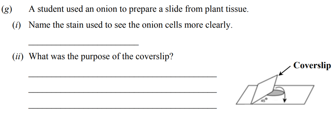 A-student-used-an-onion-to-prepare-a-slide-from-plant-tissue-Junior Cycle Science-Question g-2016.png