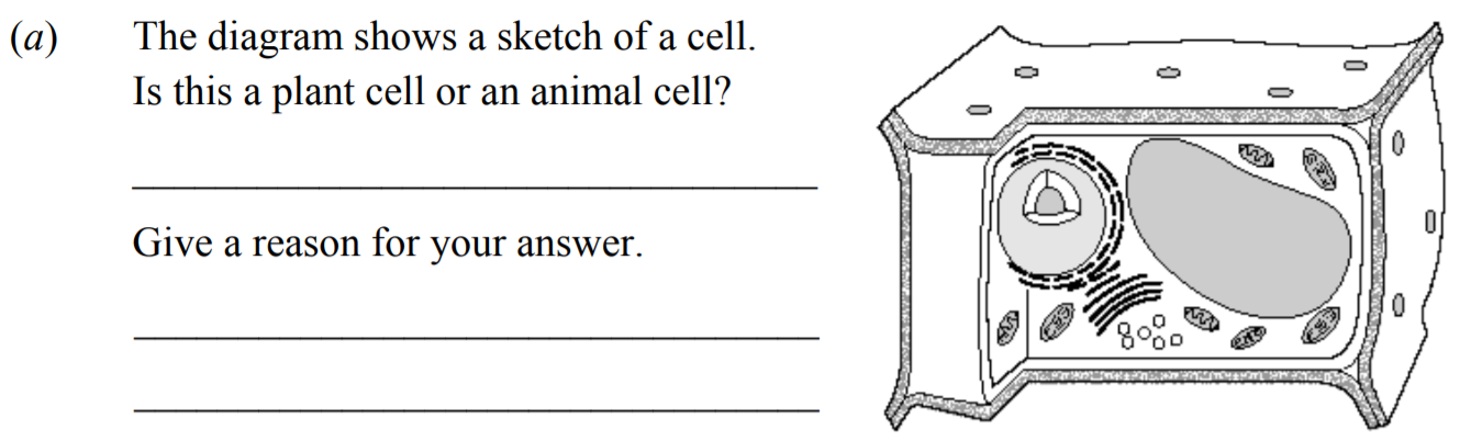 The-diagram-shows-a-sketch-of-a-cell-Junior Cycle Science-Question a-2014.png