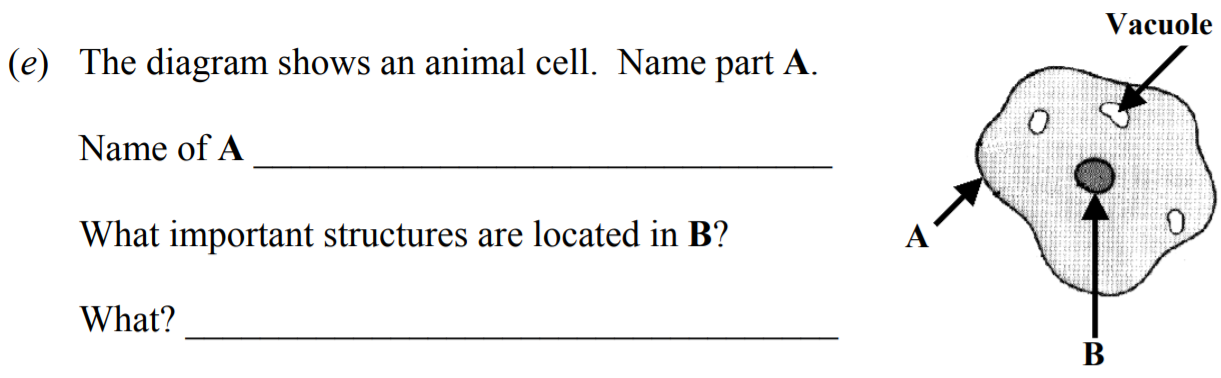 The-diagram-shows-an-animal-cell-Junior Cycle Science-Question e-2011.png