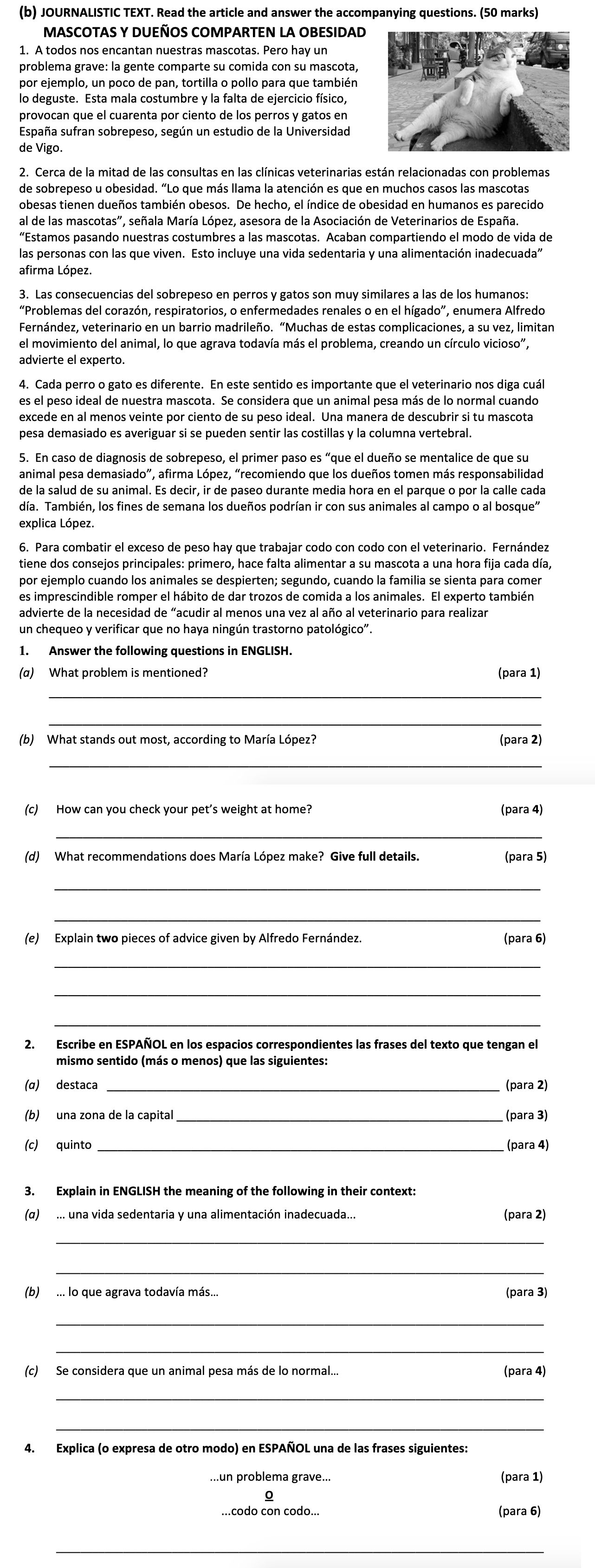 MASCOTAS-Y-dueños-COMPARTEN-LA-OBESIDAD--1-Leaving Cert Spanish-Question 1(b)-2018.png