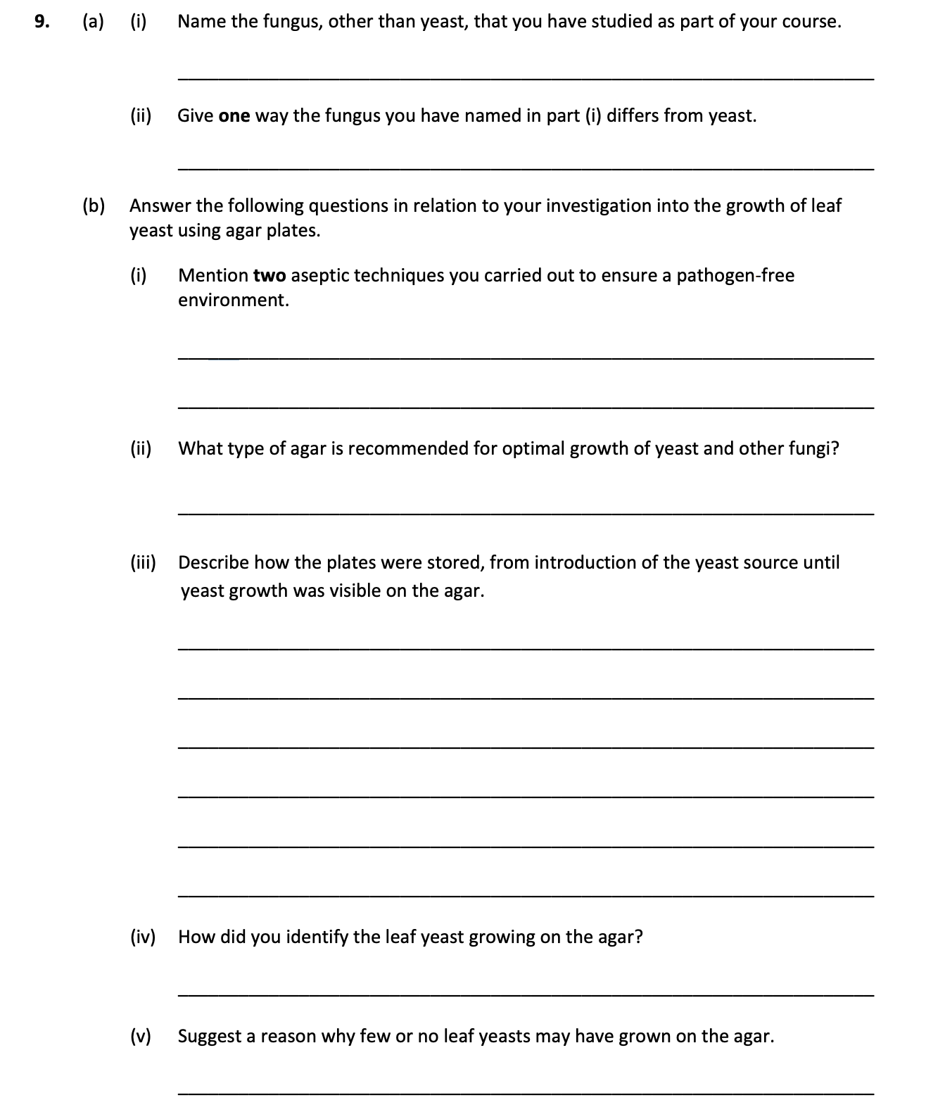 (a)--(i)-Name-the-fungus,-other-than-yeast,-that-you-have-studied-as-part-of-your-course-Leaving Cert Biology-Question 9-2018.png