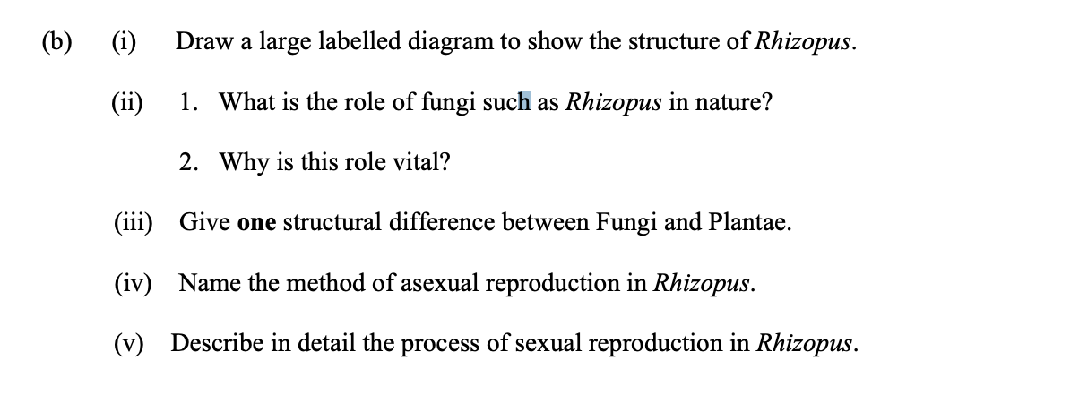 Draw-a-large-labelled-diagram-to-show-the-structure-of-Rhizopus-Leaving Cert Biology-Question (b)-2015.png