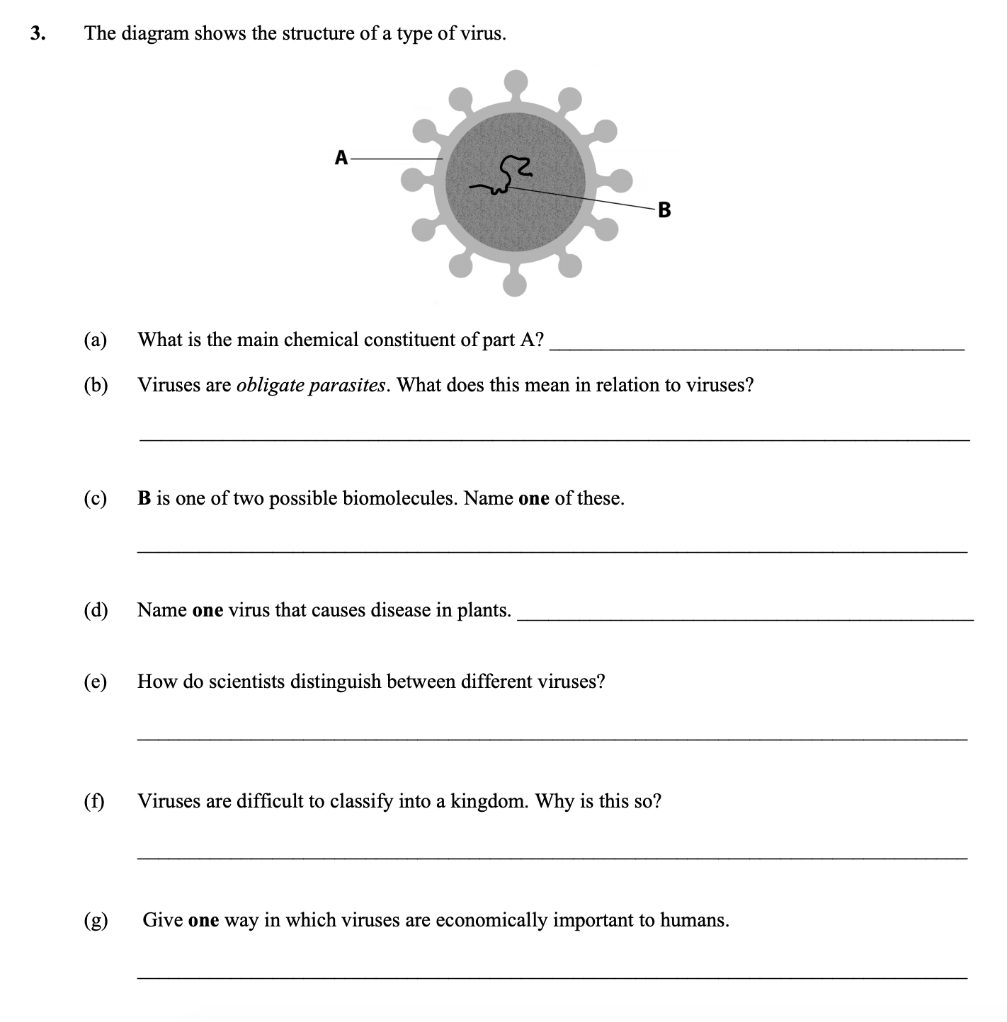 The-diagram-shows-the-structure-of-a-type-of-virus-Leaving Cert Biology-Question 3-2015.png