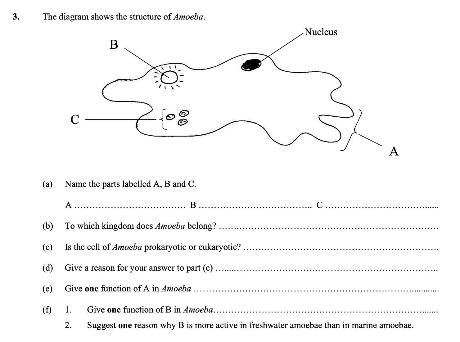 The-diagram-shows-the-structure-of-Amoeba-Leaving Cert Biology-Question 3-2010.png