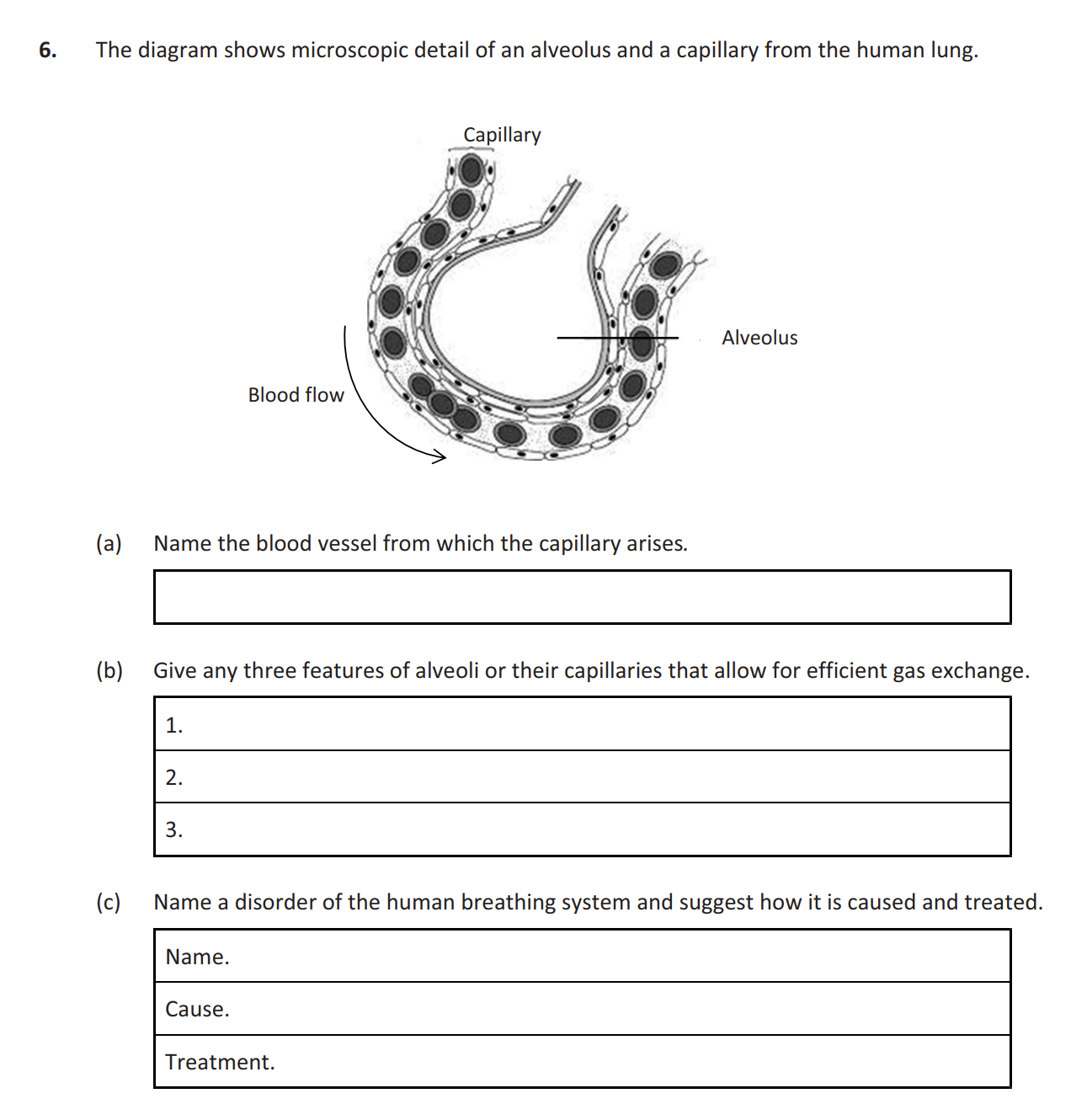 The-diagram-shows-microscopic-detail-of-an-alveolus-and-a-capillary-from-the-human-lung-Leaving Cert Biology-Question 6-2019.png