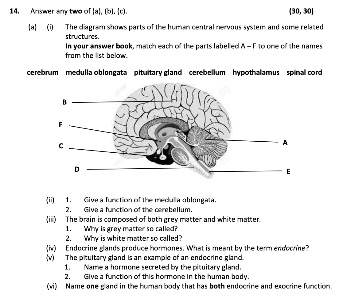 Answer-any-two-of-(a),-(b),-(c)-Leaving Cert Biology-Question 14-2019.png