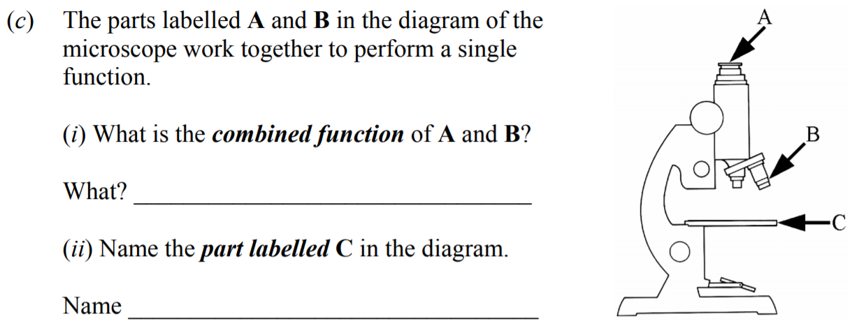The-parts-labelled-A-and-B-in-the-diagram-of-the-microscope-work-together-to-perform-a-single-function-Junior Cycle Science-Question c-2009.png