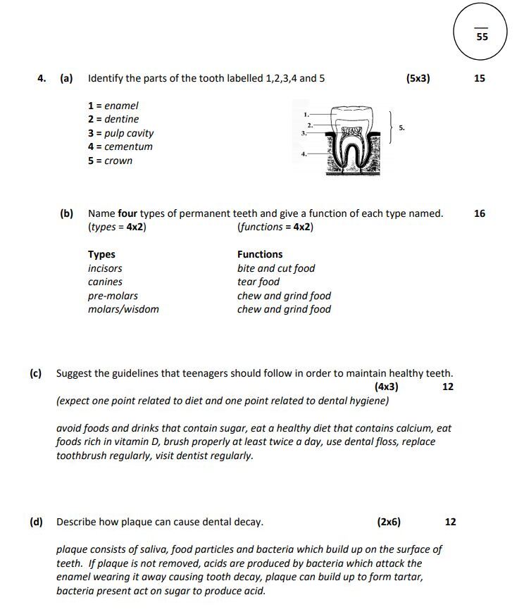 4.-(a)-Identify-the-parts-of-the-tooth-labelled-1,2,3,4-and-5-Junior Cycle Home Economics-Question 4-2008.png