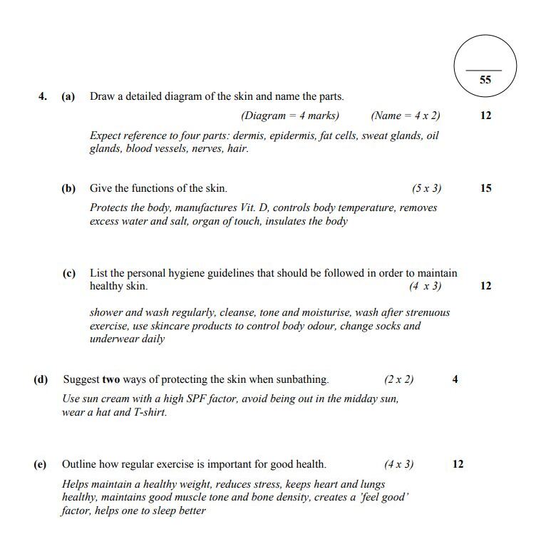 4.-(a)-Draw-a-detailed-diagram-of-the-skin-and-name-the-parts-Junior Cycle Home Economics-Question 4-2015.png