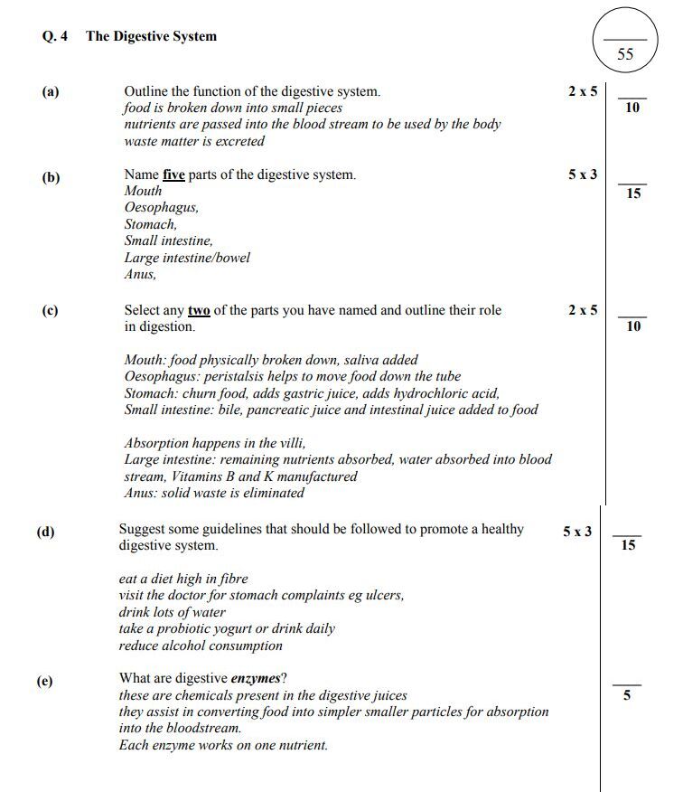 Outline-the-function-of-the-digestive-system-Junior Cycle Home Economics-Question 4-2010.png