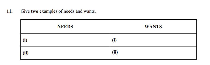 Give-two-examples-of-needs-and-wants-Junior Cycle Home Economics-Question 11-2007.png