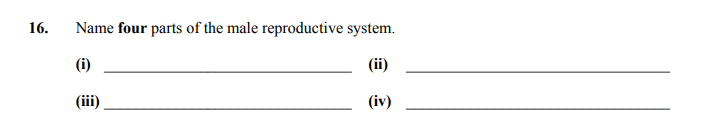Name-four-parts-of-the-male-reproductive-system-Junior Cycle Home Economics-Question 16-2009.png
