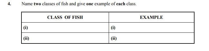 Name-two-classes-of-fish-and-give-one-example-of-each-class-Junior Cycle Home Economics-Question 4-2013.png