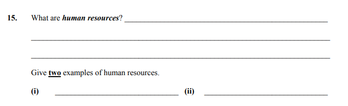 What-are-human-resources?--Anything-that-can-be-used-to-assist-in-the-performance-of-a-task-Junior Cycle Home Economics-Question 15-2010.png
