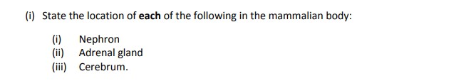 State-the-location-of-each-of-the-following-in-the-mammalian-body:--(i)-Nephron-(ii)-Adrenal-gland-(iii)-Cerebrum.-Leaving Cert Agricultural Science-Question (i)-2019.png
