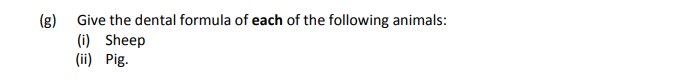 Give-the-dental-formula-of-each-of-the-following-animals:-(i)-Sheep-(ii)-Pig.-Leaving Cert Agricultural Science-Question g-2007.png