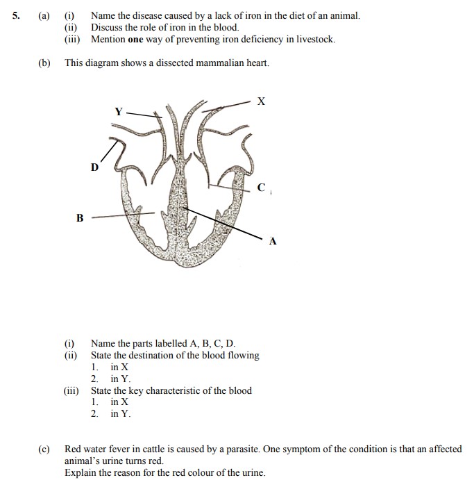 5.-(a)-(i)-Name-the-disease-caused-by-a-lack-of-iron-in-the-diet-of-an-animal-Leaving Cert Agricultural Science-Question 5-2011.png