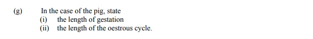 In-the-case-of-the-pig,-state--(i)-the-length-of-gestation-Leaving Cert Agricultural Science-Question g-2006.png