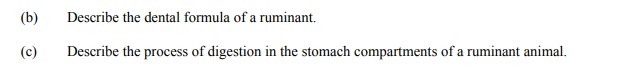Describe-the-dental-formula-of-a-ruminant-Leaving Cert Agricultural Science-Question b and c-2009.png