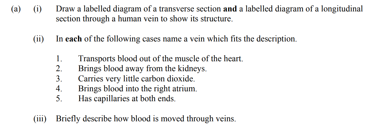 Draw-a-labelled-diagram-of-a-transverse-section-and-a-labelled-diagram-of-a-longitudinal-section-through-a-human-vein-to-show-its-structure-Leaving Cert Biology-Question 15-2016.png