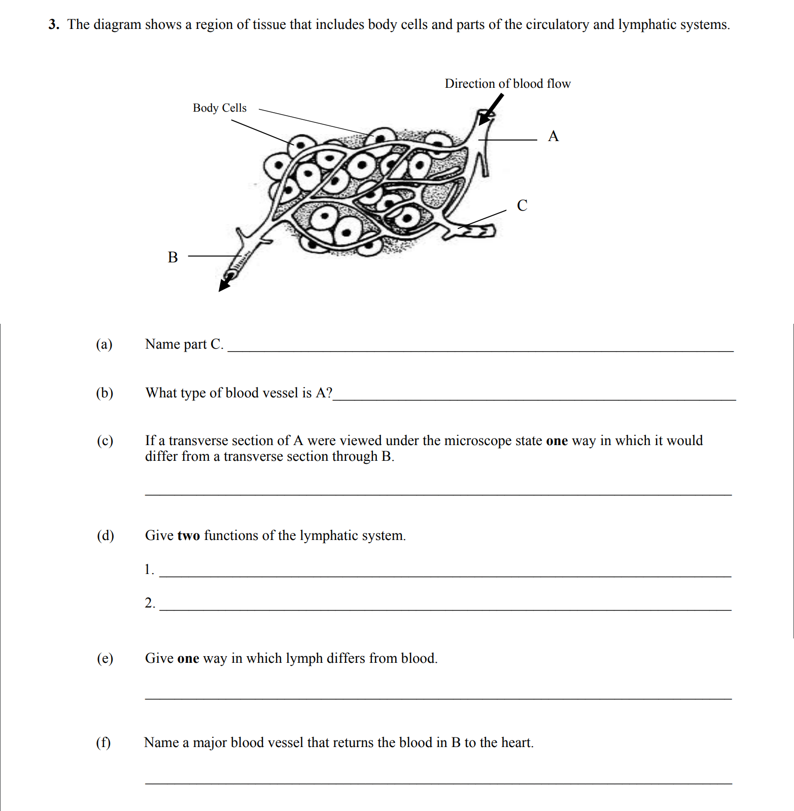 The-diagram-shows-a-region-of-tissue-that-includes-body-cells-and-parts-of-the-circulatory-and-lymphatic-systems-Leaving Cert Biology-Question 3-2014.png