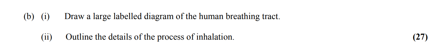 Draw-a-large-labelled-diagram-of-the-human-breathing-tract-Leaving Cert Biology-Question b-2014.png