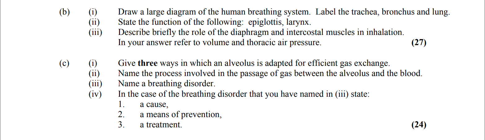 Draw-a-large-diagram-of-the-human-breathing-system-Leaving Cert Biology-Question b-2007.png
