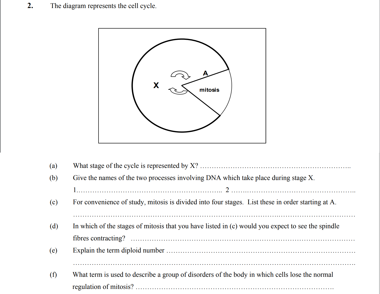 The-diagram-represents-the-cell-cycle-Leaving Cert Biology-Question 2-2008.png