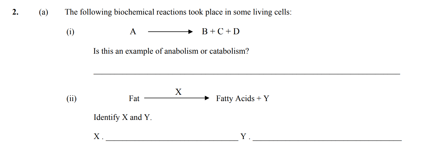 The-following-biochemical-reactions-took-place-in-some-living-cells:--(i)-A-→-B-+-C-+-D--Is-this-an-example-of-anabolism-or-catabolism?--(ii)-Fat-→-X-Fatty-Acids-+-Y--Identify-X-and-Y-Leaving Cert Biology-Question 2 (a)-2014.png