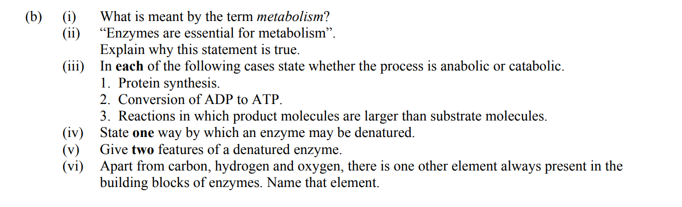 What-is-meant-by-the-term-metabolism?--"Enzymes-are-essential-for-metabolism"-Leaving Cert Biology-Question 14(b)-2011.png