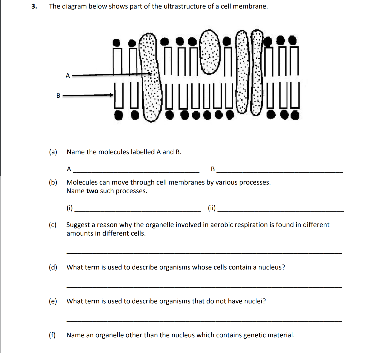 The-diagram-below-shows-part-of-the-ultrastructure-of-a-cell-membrane-Leaving Cert Biology-Question 3-2017.png