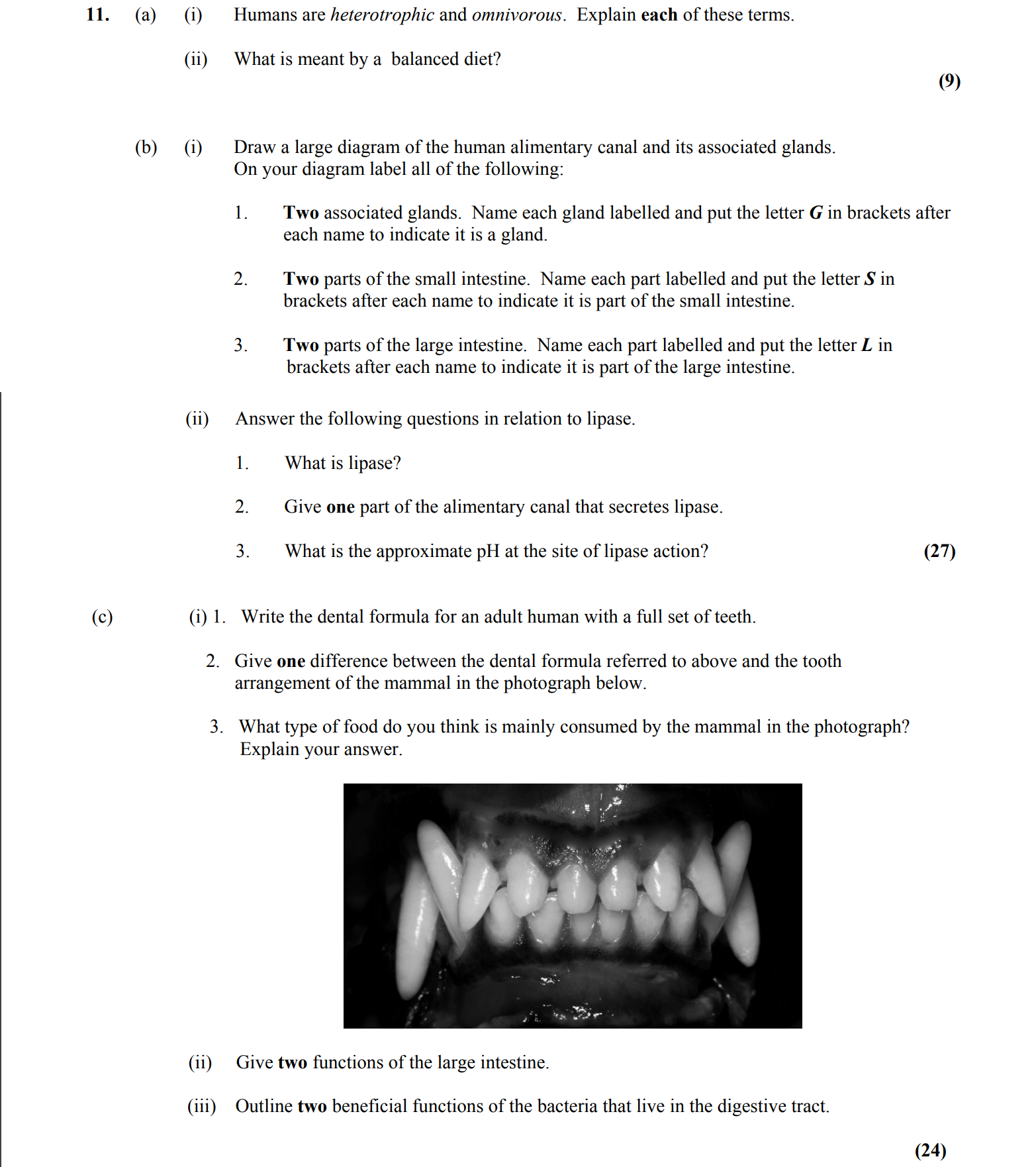 Humans-are-heterotrophic-and-omnivorous-Leaving Cert Biology-Question 11-2015.png