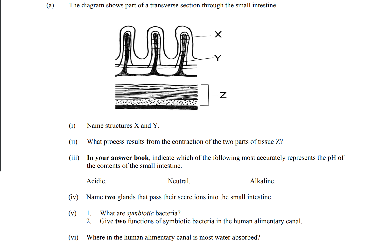 The-diagram-shows-part-of-a-transverse-section-through-the-small-intestine-Leaving Cert Biology-Question 15-2012.png