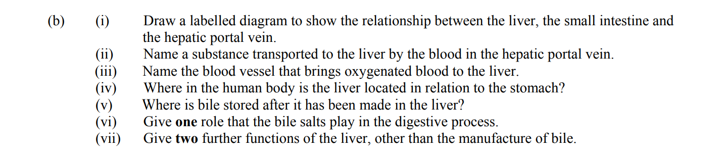 Draw-a-labelled-diagram-to-show-the-relationship-between-the-liver,-the-small-intestine-and-the-hepatic-portal-vein-Leaving Cert Biology-Question 15(b)-2010.png