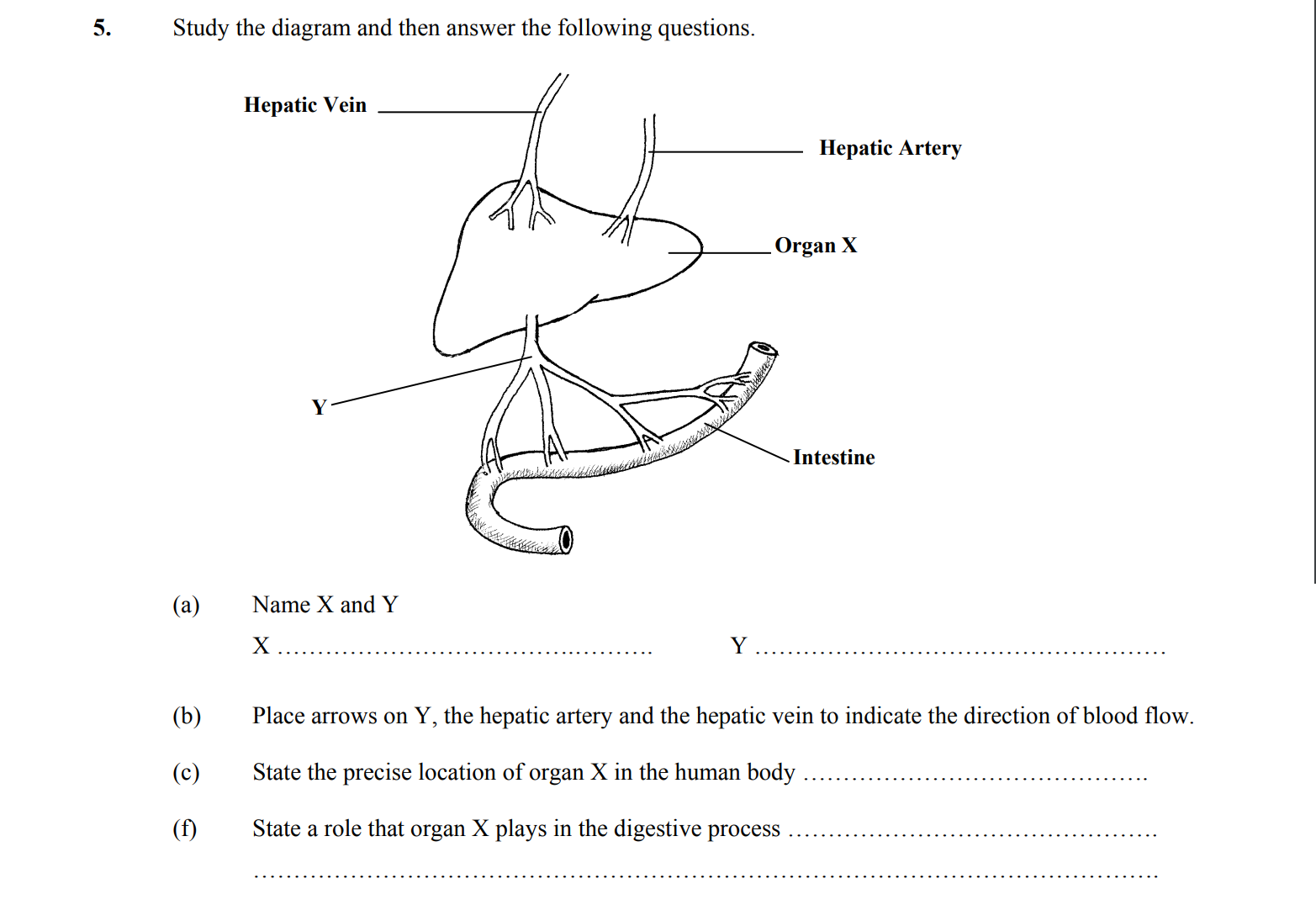 Study-the-diagram-and-then-answer-the-following-questions-Leaving Cert Biology-Question 5-2006.png