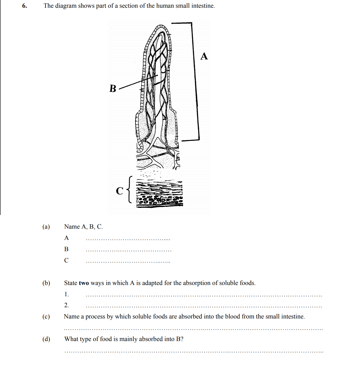 The-diagram-shows-part-of-a-section-of-the-human-small-intestine-Leaving Cert Biology-Question 6-2005.png
