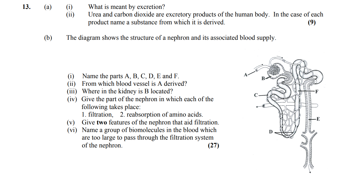 13.-(a)-(i)-What-is-meant-by-excretion?--Excretion-is-the-elimination-of-waste-products-of-metabolism-from-the-body-Leaving Cert Biology-Question 13-2008.png