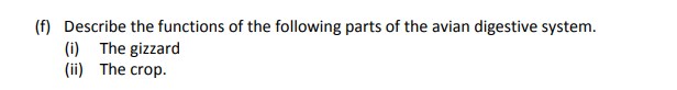 Describe-the-functions-of-the-following-parts-of-the-avian-digestive-system-Leaving Cert Agricultural Science-Question f-2018.png
