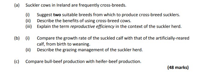 Suckler-cows-in-Ireland-are-frequently-cross-breeds-Leaving Cert Agricultural Science-Question a-2019.png