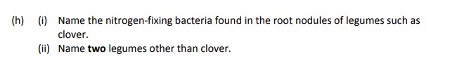 Name-the-nitrogen-fixing-bacteria-found-in-the-root-nodules-of-legumes-such-as-clover-Leaving Cert Agricultural Science-Question h-2017.png