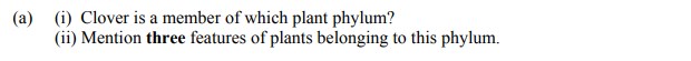 Clover-is-a-member-of-which-plant-phylum?-Mention-three-features-of-plants-belonging-to-this-phylum.-Leaving Cert Agricultural Science-Question a-2016.png