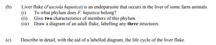 Liver-fluke-(Fasciola-hepatica)-is-an-endoparasite-that-occurs-in-the-liver-of-some-farm-animals-Leaving Cert Agricultural Science-Question b-2014.png